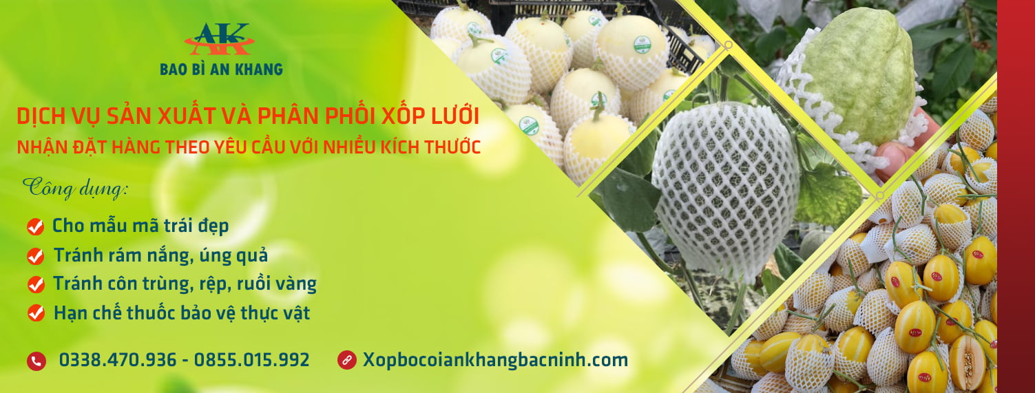 Bao Bì An Khang Bắc Ninh