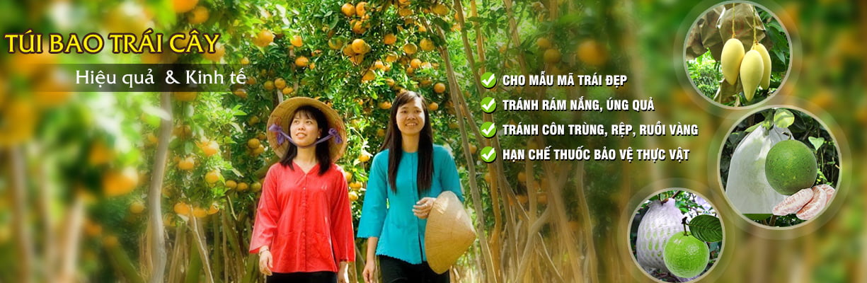 Bao Bì An Khang Bắc Ninh