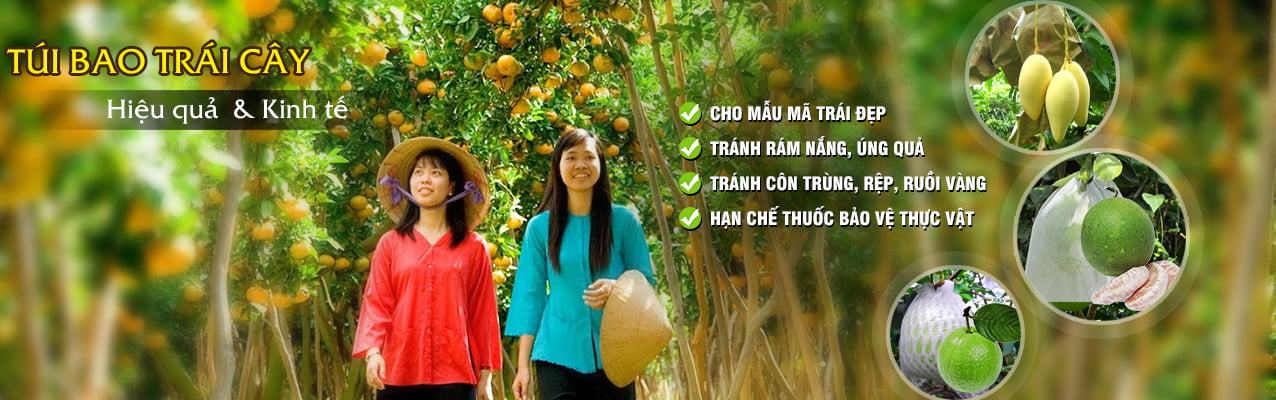 Bao Bì An Khang Bắc Ninh