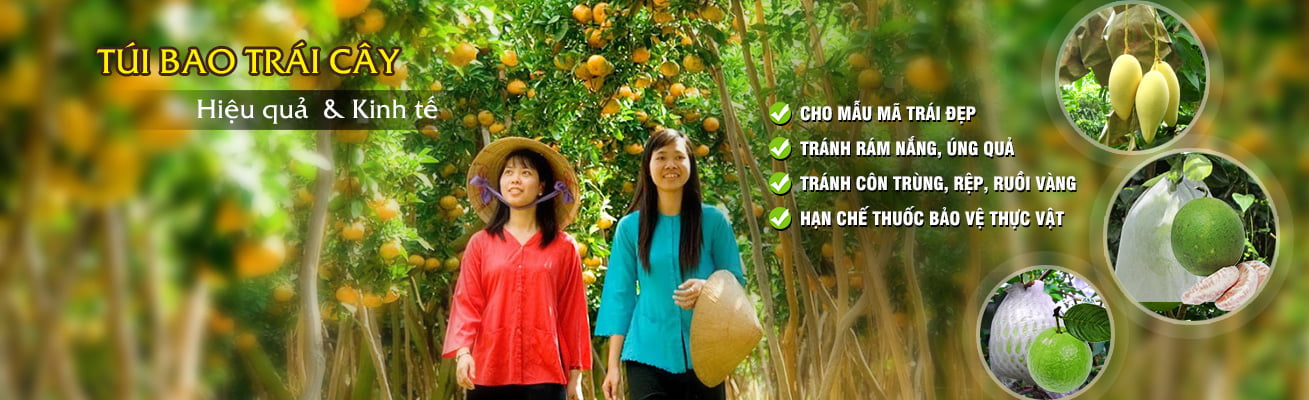 Bao Bì An Khang Bắc Ninh