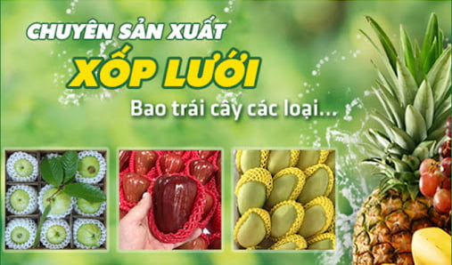 Bao Bì An Khang Bắc Ninh
