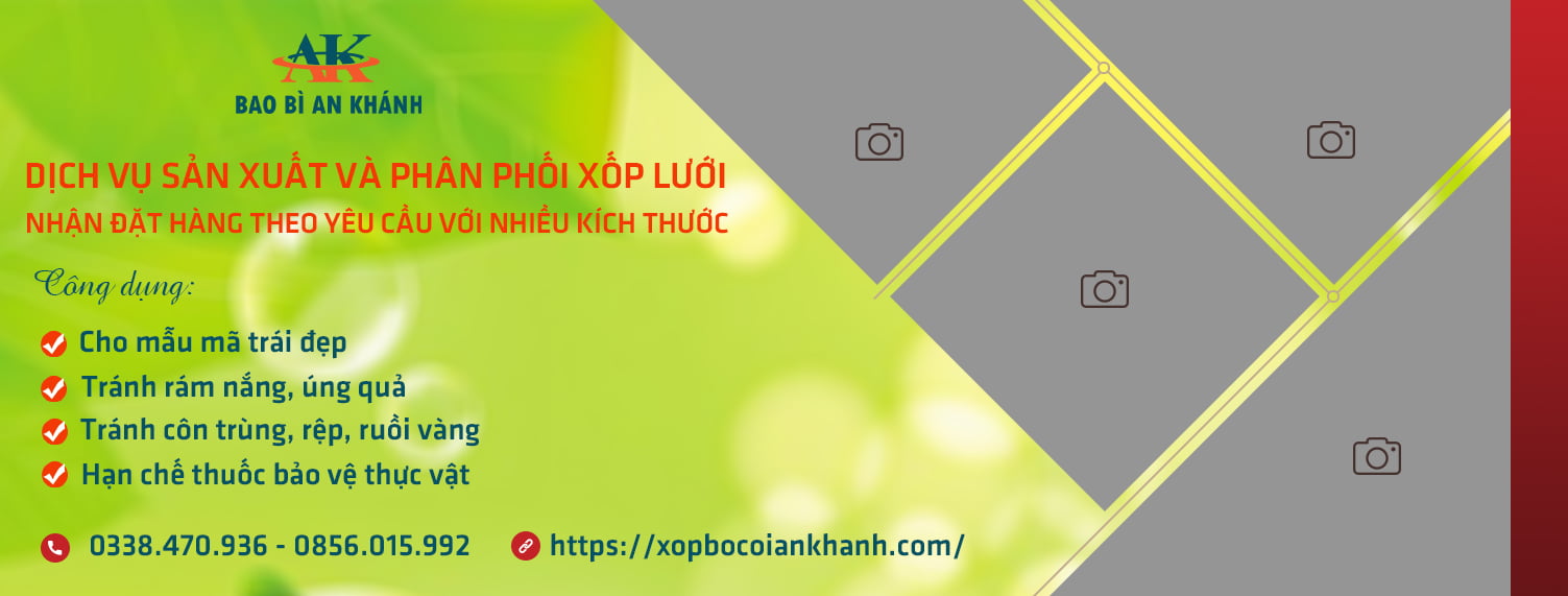 Bao Bì An Khang Bắc Ninh