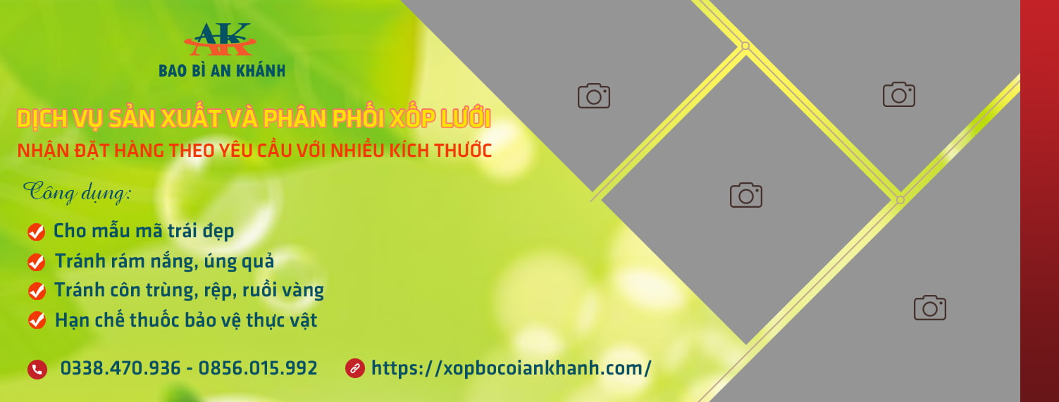 Bao Bì An Khang Bắc Ninh