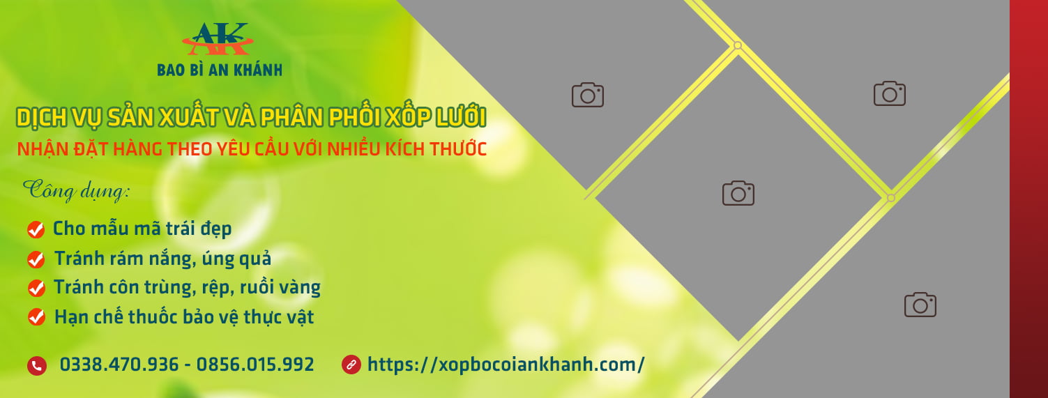 Bao Bì An Khang Bắc Ninh