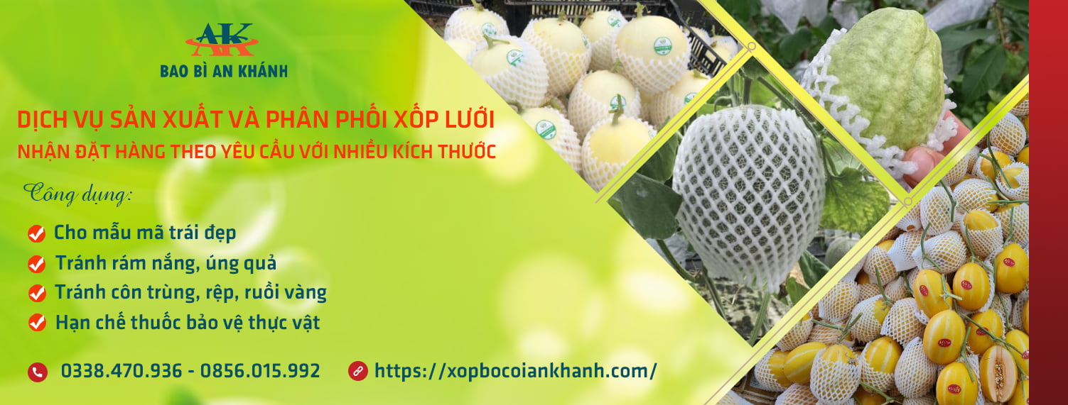 Bao Bì An Khang Bắc Ninh