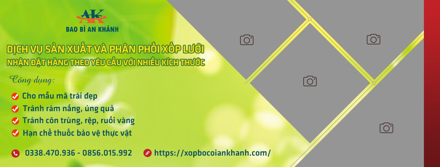 Bao Bì An Khang Bắc Ninh