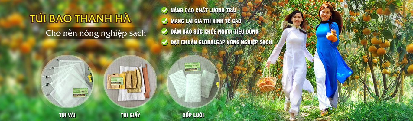 Bao Bì An Khang Bắc Ninh