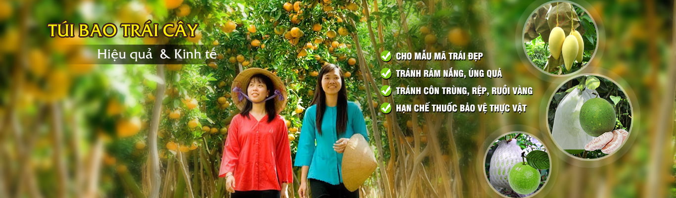 Bao Bì An Khang Bắc Ninh