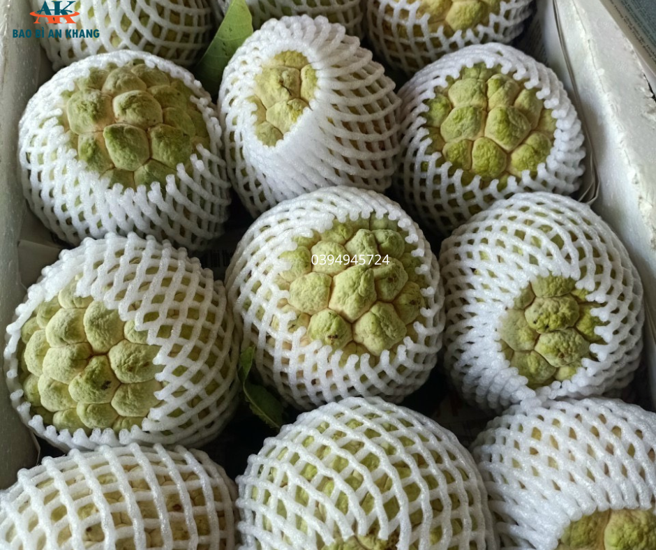 Bao Bì An Khang Bắc Ninh