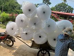 Cuộn xốp hơi 60x100m Cuộn xốp hơi 60x100m