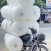 Cuộn xốp hơi 60x100m Cuộn xốp hơi 60x100m