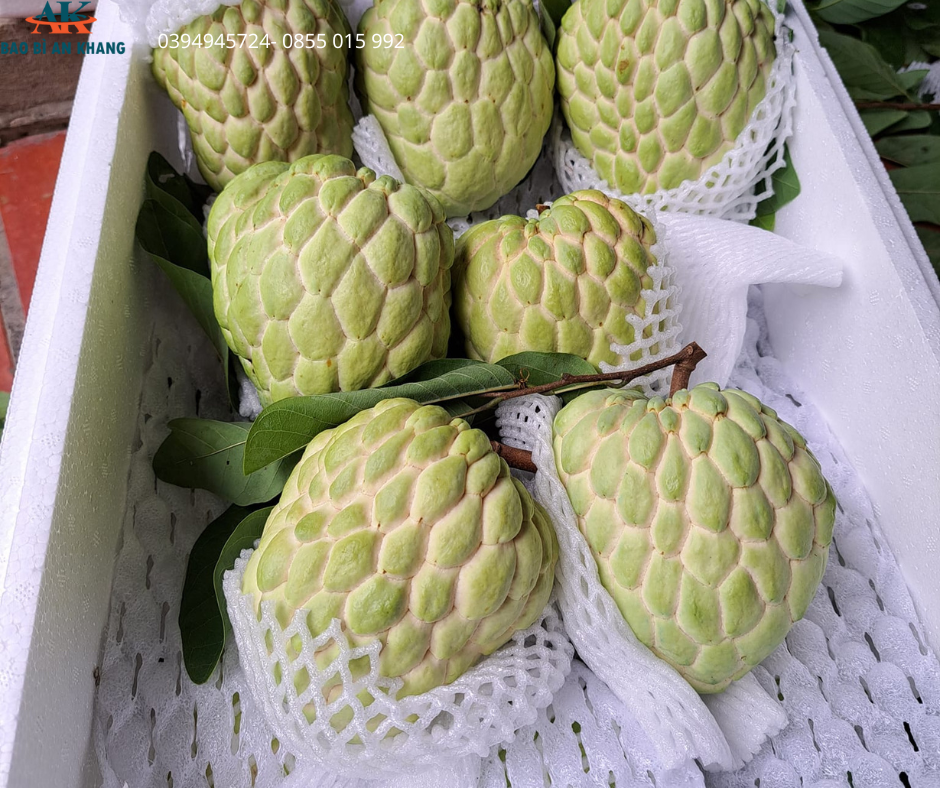 Bao Bì An Khang Bắc Ninh