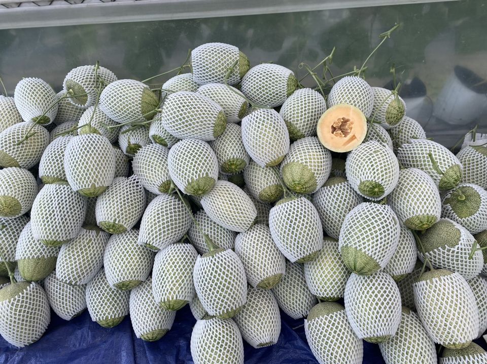 Bao Bì An Khang Bắc Ninh