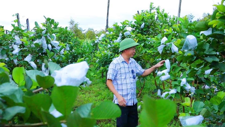 Bao Bì An Khang Bắc Ninh